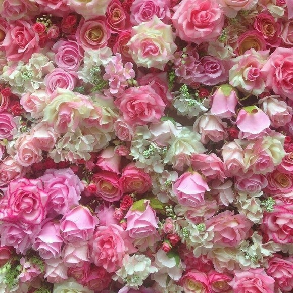 Meet your Posher, Michelle - Picture 3 of 3